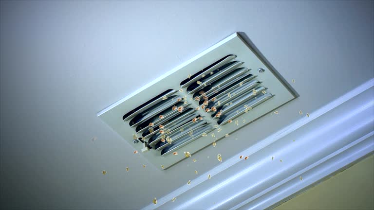 Best General Air Duct Cleaning  in St Anne, IL
