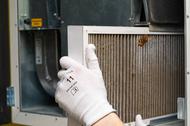 Best Ventilation Cleaning Services  in St Anne, IL