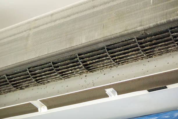 Best Best Air Duct Cleaning Company  in St Anne, IL