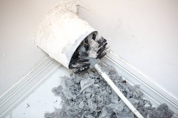 Best Ventilation Cleaning Services  in St Anne, IL